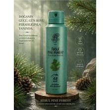Rebul Erkek Sprey Deodorant Pıne Forest 150 ml