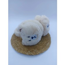 My World Life Ayıcık Detaylı Peluş Kulaklık