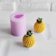 Himi Teraryum Objeleri 2'li Ananas Saksı Dibi Süsü Plastik Teraryum Obje Minyatür Obje Teraryum Malzemeleri