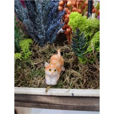 Himi Teraryum Objeleri Kedi Teraryum Plastik Minyatür Obje Teraryum Malzemeleri Objeleri