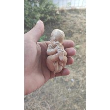 Himi Teraryum Objeleri Battaniye Sarılmış Bebek 1 Adet Plastik Teraryum Obje Minyatür Obje Figür Aksesuar Teraryum Malzemeleri