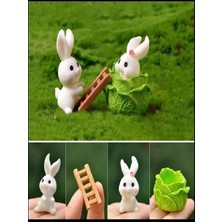 Himi Teraryum Objeleri Tavşan Set 4 Parça Plastik Teraryum Obje Minyatür Obje Teraryum Aksesuar Saksı Süsü