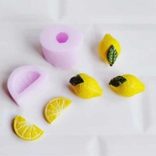 Himi Teraryum Objeleri Limon 5'li Plastik Teraryum Obje Teraryum Aksesuar Saksı Süsü