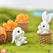 Himi Teraryum Objeleri Tavşan Set 6 Parça Plastik Teraryum Objeleri Teraryum Süsleri Saksı Süsleri Minyatür Obje