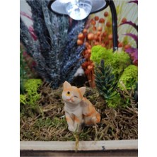 Himi Teraryum Objeleri Kedi Teraryum Plastik Minyatür Obje Teraryum Malzemeleri Objeleri