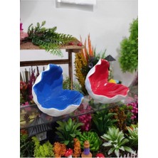 Himi Teraryum Objeleri 2'li Istiridye Midye Dekoratif Plastik Obje Istiridye Midye Sunumluk