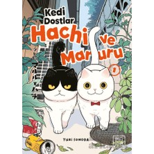 Athica Yayınları Kedi Dostlar Hachi ve Maruru 1