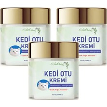 Medigeni Kedi Otu Kremi 50 ml 3 Adet Kafur Ağacı Yağı Içerikli Krem
