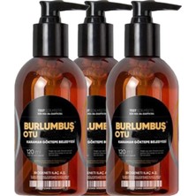 Medigeni Burlumbuş Otu Jeli 120 ml x 3 Adet