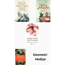 Epsilon Yayınevi Songül Ünsal 3 Kitap Seti + Geometri Hediye