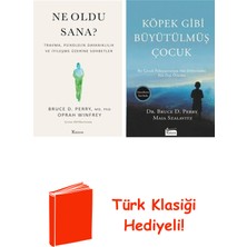 Koridor Yayıncılık Bruce D. Perry 2 Kitap Seti + Türk Klasiği Hediye