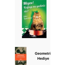 Pegasus Miyav! Kafayı Mı Yediniz Siz? + Geometri Hediye