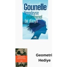 Pegasus Neredeyse Mükemmel Bir Dünya + Geometri Hediye