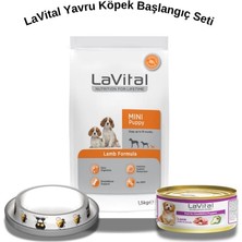 Lavital Yavru Köpek Başlangıç Seti