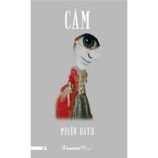 İnkılap Kitabevi Cam