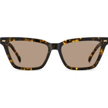 Carrera
