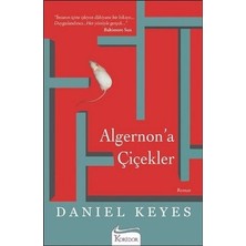 Koridor Yayıncılık Algernon’a Çiçekler