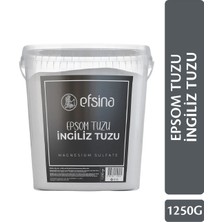 Efsina 1.250 GR EPSOM TUZU
