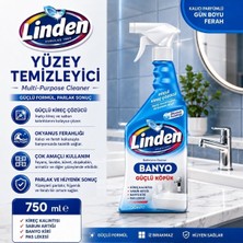 Linden Banyo Temizleyici Sprey Köpük 750 ml