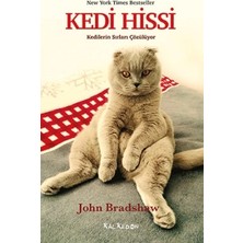 Kalkedon Kedi Hissi - Kedilerin Sırları Çözülüyor