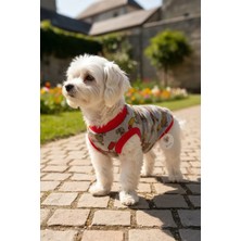 Miniş Hotdog Küçük Irk Köpek Esnek Penye T-Shirt