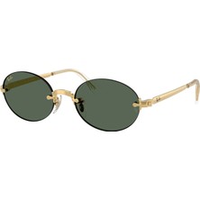 Rayban RB3929 00171 54 Unısex Güneş Gözlüğü
