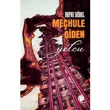 Herdem Kitap Meçhule Giden Yolcu