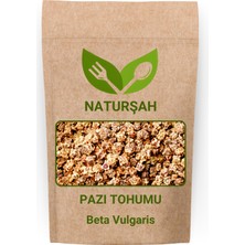 Naturşah Pazı Tohumu 1 kg / Beta Vulgaris