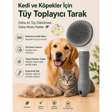 Vetugen Doğal Kedi Naneli Avokado Kedi Oyuncağı
