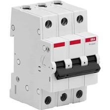 Abb Otomatik Sigorta 3X63A 6ka C Tipi 2CDS653061R0634
