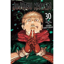 Viz Media Jujutsu Kaisen. Volume 30