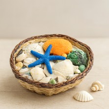 KSB Store Midye ve Deniz Kabuk Vazo Taşı - Renkli Mix, Ahşap Sepetli (Küçük Kare)