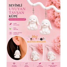 himi bijuteri aksesuar Sevimli Tavşan Hayvan Figürlü Plastik Sallantılı Küpe Hafif Tasarım Günlük Kullanım