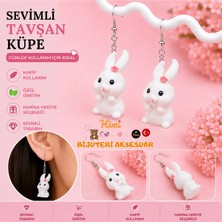 himi bijuteri aksesuar Neşeli Tavşan Hayvan Figürlü Plastik Sallantılı Küpe Hafif Tasarım Günlük Kullanım Bijuteri Çocuk Küpesi