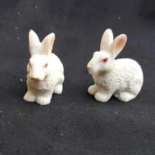 Himi Pasta Süsleri 2'li Tavşan Plastik Minyatür Figür Karakter Oyuncakları Evcilik Oyuncakları Küçük Minik Oyuncaklar