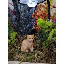 Himi Pasta Süsleri Kedi Plastik Minyatür Figür Karakter Oyuncakları Evcilik Oyuncakları Küçük Minik Oyuncaklar