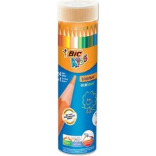 Die Grup Bic Evolution Kuru Boya Kalemi 24+1