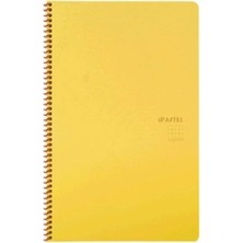 Die Grup Pastel Çizgili Spiralli Pp Kapak 80 Yaprak Note De