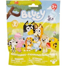 Die Grup Bluey Sürpriz Paket