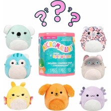 Die Grup Micromallows Sürpriz Paket