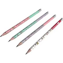 Die Grup Faber Castell Bisiklet Kurşun Kalem Silgili 2b