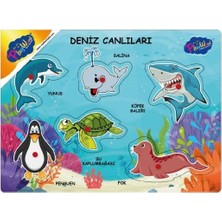 Die Grup Ahşap Tutmalı Deniz Canlıları