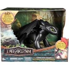Die Grup Dragons Dreamworks Interaktif Dişsiz