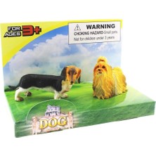 Zemira Dakhund Yorkshireterrier Model Hayvan