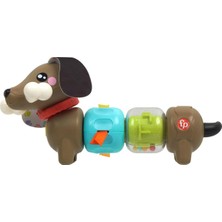 Fisher-Price Fisher Price Köpekçikle Eğlenceli Aktiviteler - Standart