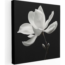 Popcasso Sade Manolya Şeffaf Sanat ile Minimalist Kompozisyon Manolya Kanvas Duvar Tablosu