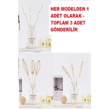 Ankaverse 3 Tek Adet 3 Model Aromaterapi Koku Dağıtıcı Rattan Şişe Ahşap Difüzör Çubuk (Spiral-Yaprak-Dalgalı)