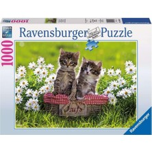 Zemira Ravensburger 1000P Puz Çayırda Piknik, Yapboz