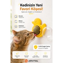 Arvital Ördek Tasarımlı Duvara Yapışan Kedi Nanesi Topu Döner Catnip Yalama Oyuncağı