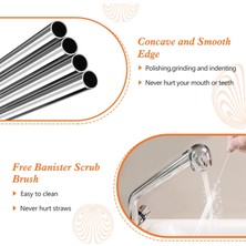 Tri Stax Ekstra Uzun Paslanmaz Çelik Pipet Seti – 3 Parça (Eğri + Düz + Fırça)